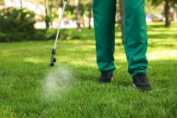 Best Cockroach Control Services  in Corrigan, TX