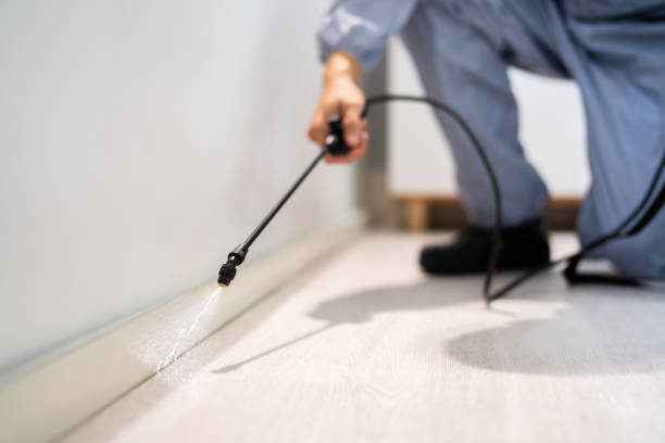 Best Affordable Pest Control Services  in Corrigan, TX
