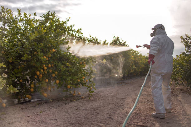 Best Exterminator Services  in Corrigan, TX