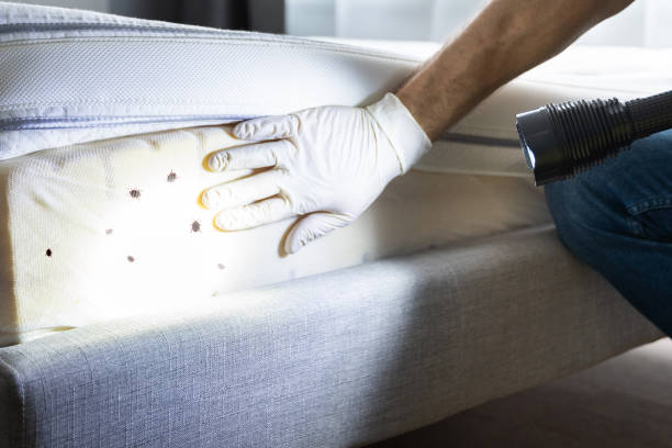 Best Best Pest Control Companies  in Corrigan, TX