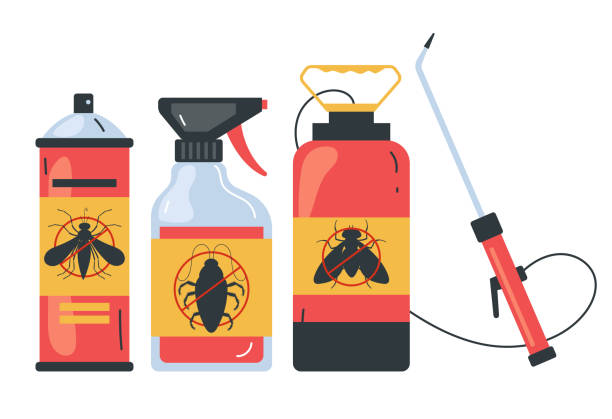 Best Spider Control Near Me  in Corrigan, TX
