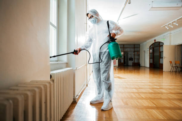 Best Termite Control Services  in Corrigan, TX