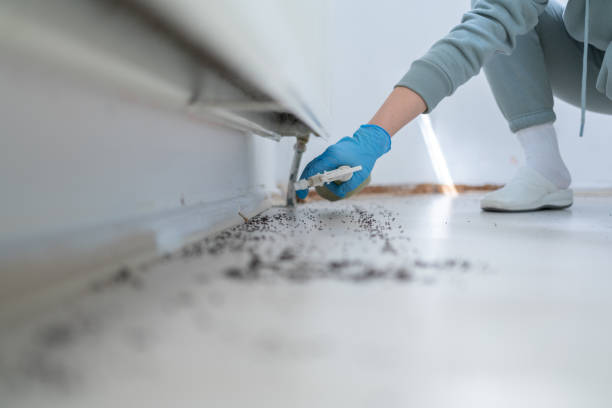 Best Emergency Pest Control  in Corrigan, TX